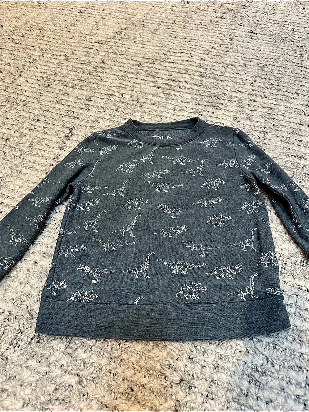 Chaser Boys Dinosaur Sweatshirt Size 5 Like New